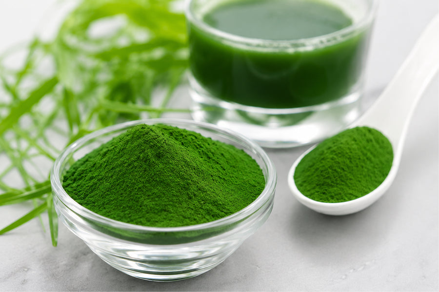 Chlorella, The Toxin Binder